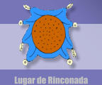 Lugar de Rinconada